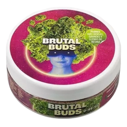 Brutal Buds (250gr to 3.5Kg)