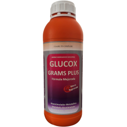 Glucox Grams Plus 1L