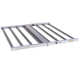 Eluxe Light Pro 1000W