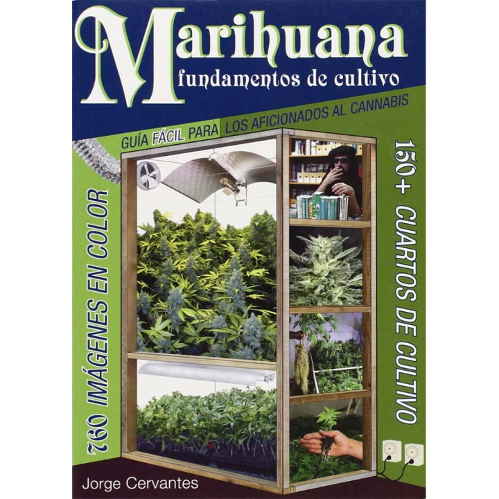 Marijuana Growing Basics: An Easy Guide for Cannabis Hobbyists