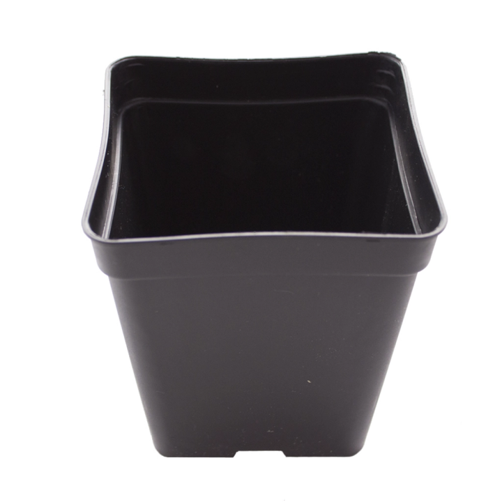 Square Eco Black Pot