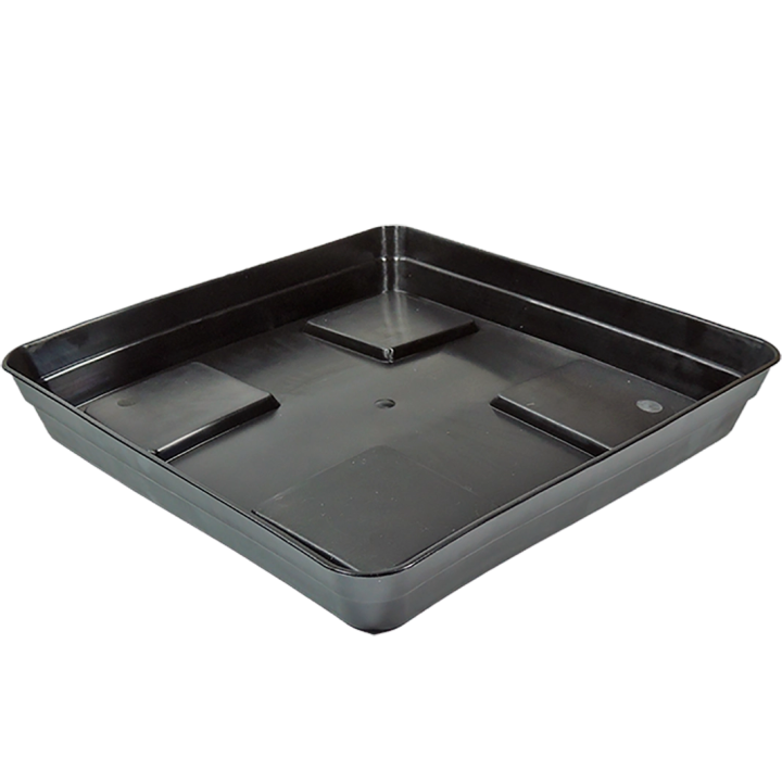 Eco Black Square Plate with Stand