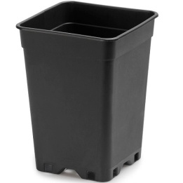 Black Flood Square Pot