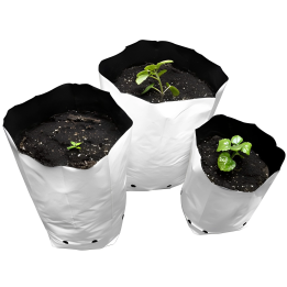 Grow Bag 5 Gallons (22L) (25 Units)