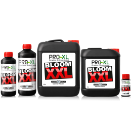 PRO-XL Bloom XXL