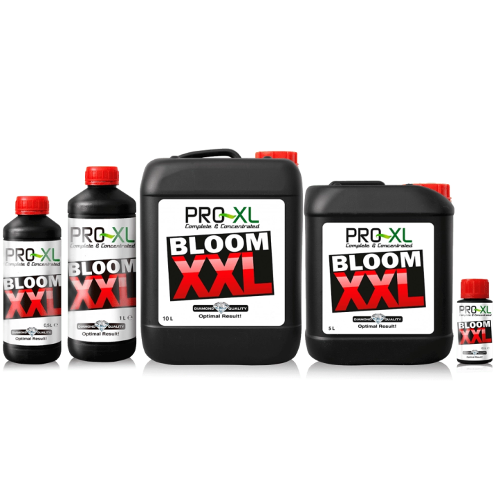 PRO-XL Bloom XXL