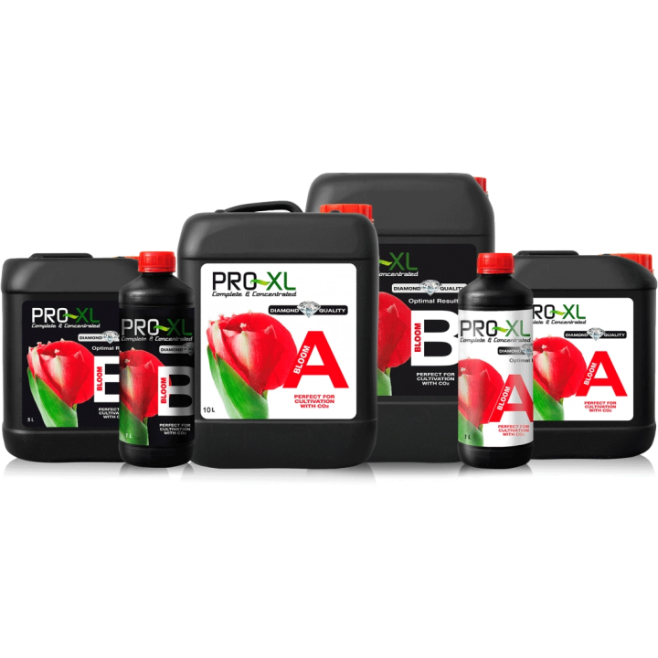 PRO-XL Bloom A&B