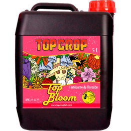 Top Crop Top Bloom