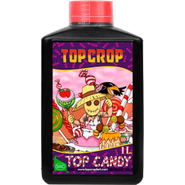 Top Crop Top Candy