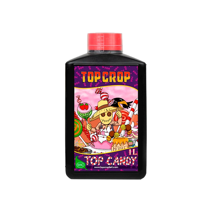 Top Crop Top Candy