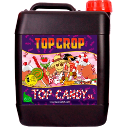 Top Crop Top Candy