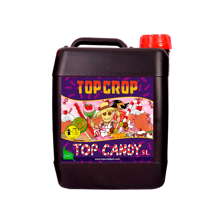 Top Crop Top Candy
