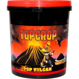 Top Crop Top Vulcan (Harina de Lava)