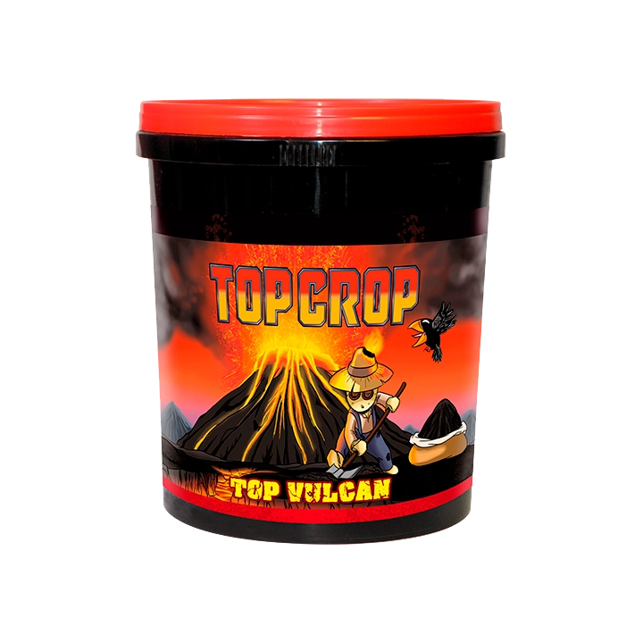 Top Crop Top Vulcan (Harina de Lava)