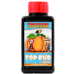 Top Crop Top Bud