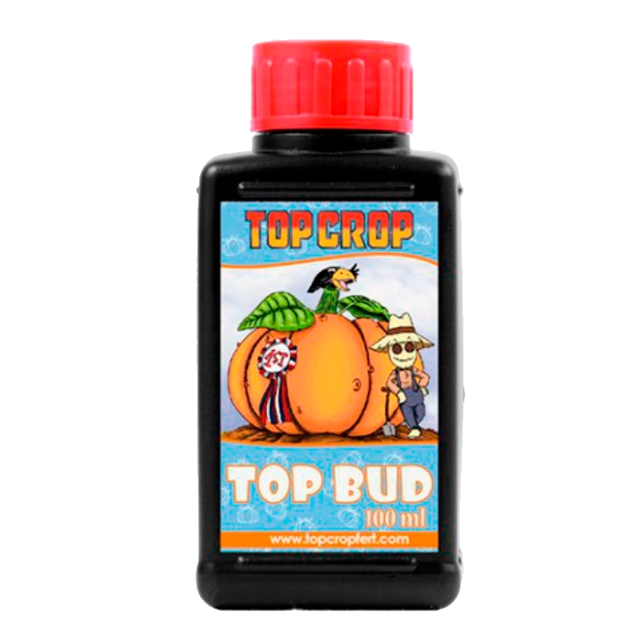 Top Crop Top Bud