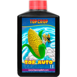Top Crop Top Auto