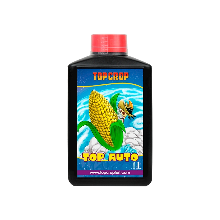 Top Crop Top Auto