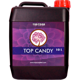 Top Crop Top Candy