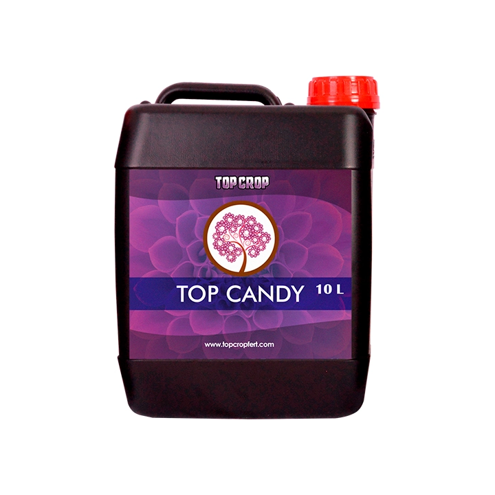 Top Crop Top Candy