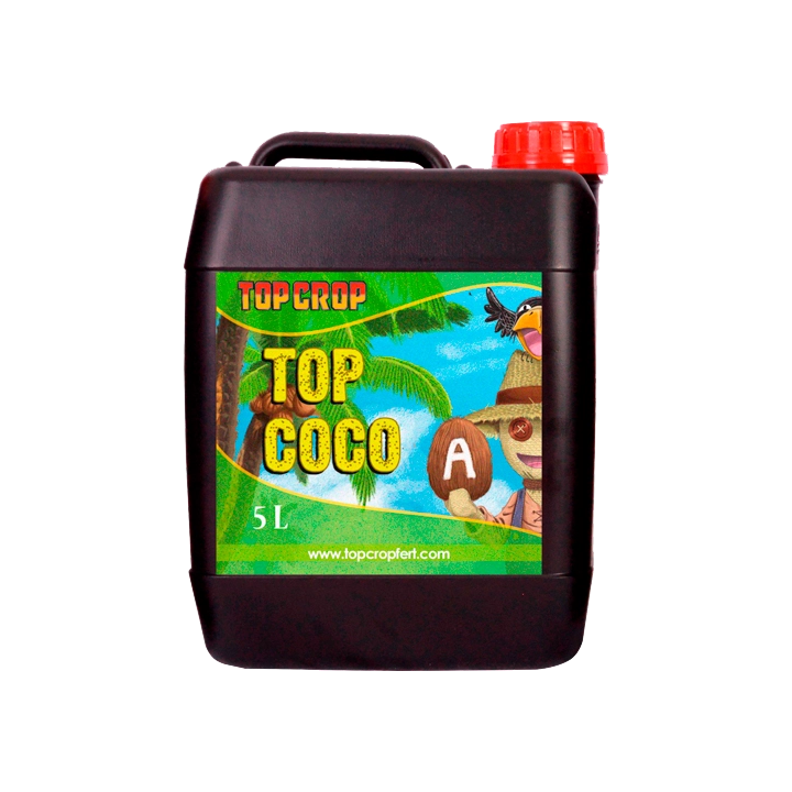 Top Crop Top Coco A