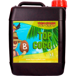 Top Crop Top Coco B