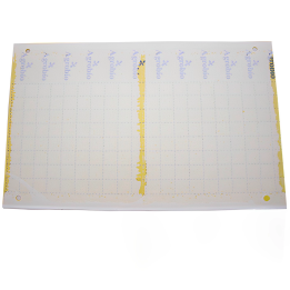 Yellow Adhesive Trap 40x25cm Folio (10Und)