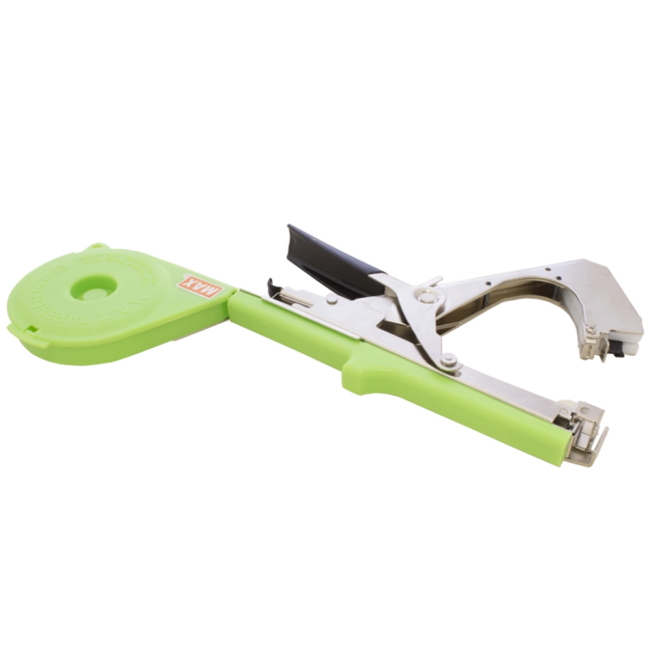 Tutor Max Tapener