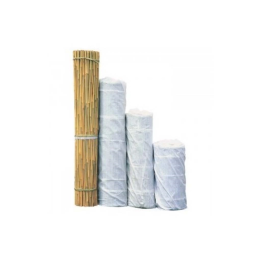 Bamboo Tutor