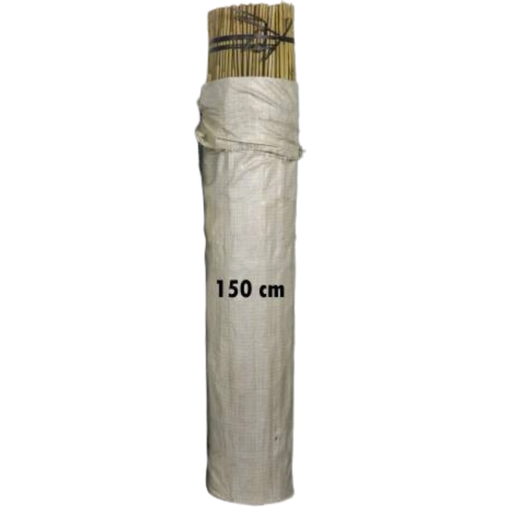 Bamboo Tutor 150cm 14-16mm (200 Units)