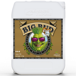 Advanced Nutrients Big Bud Coco Liquid