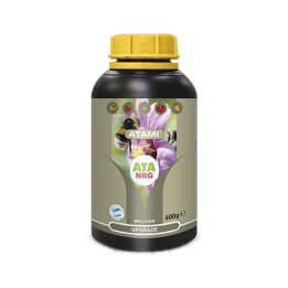 Atami Ata NRG Upgrade 600gr