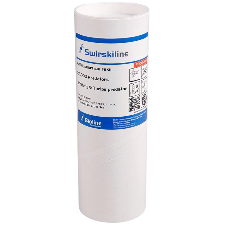 Starskii - Amblyseius Swirskii Tube 25,000 (Whitefly)