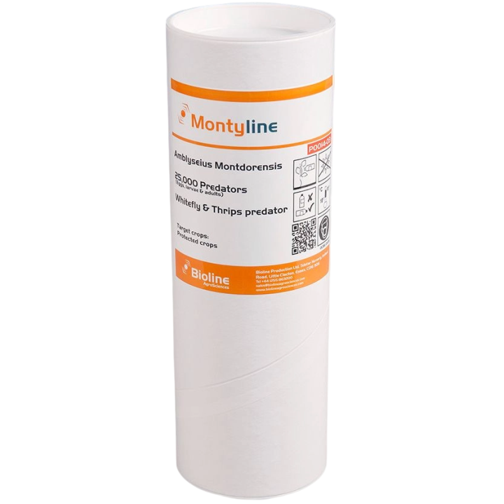 Montyline - Tube 25.000 Individuals - Amblyseius montdorensis (Thrips / Whitefly)