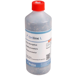 Oriline L adults - Bottle - 2,000 Individuals - Orius laevigatus (Trips)