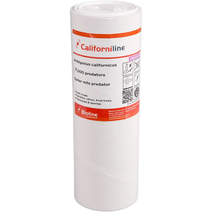 Californiline - Bran/vermiculite - Bottle 2,000 Individuals - Amblyseius californicus (Red Spider)