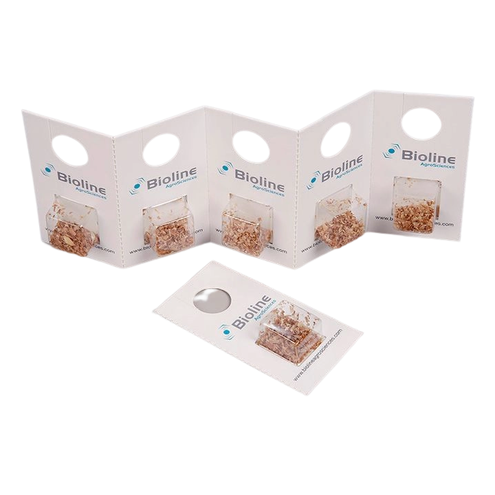 Eretline - 20 Blisters - 5,000 Individuals - Eretmocerus eremicus" (Whitefly Greenhouses and Potato)