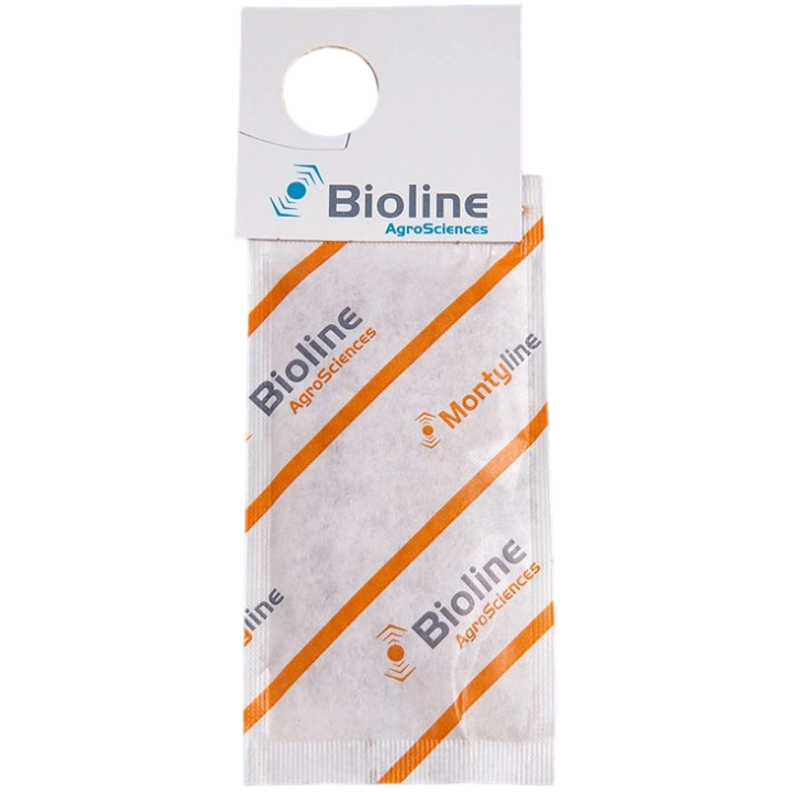 Montyline - 1,000 Mini Envelopes - 250,000 Individuals - Amblyseius montdorensis (Thrips / Whitefly)