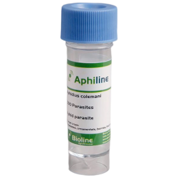 Aphiline - Vial 1.000 Individuos - Aphidius colemani (Pulgón Pequeño)