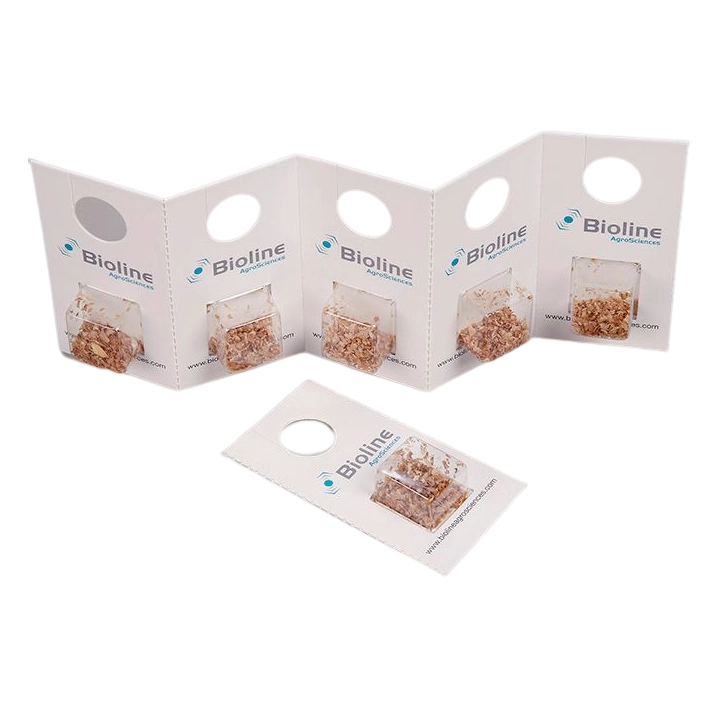 Aphiline - 10 Blister x 100 Indv. (1.000 Indv.) - Aphidius colemani (Pulgón Pequeño)