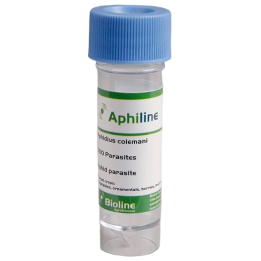Aphiline Veg - Vial - 500 Individuos - Aphidius colemani + A. ervi + Aphelinus abdominalis (Pulgón)