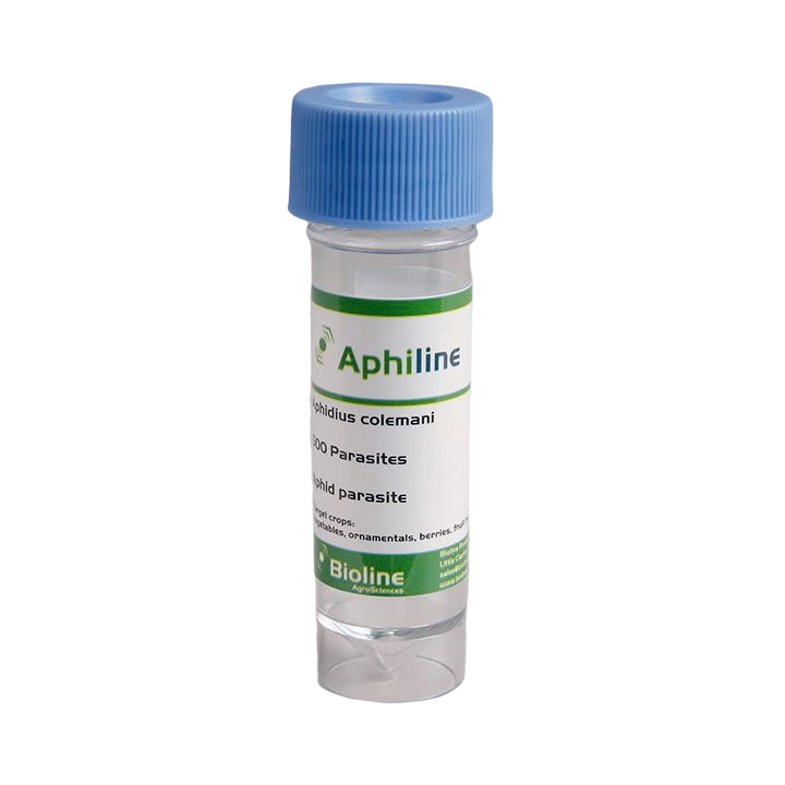Aphiline Veg - Vial - 500 Individuos - Aphidius colemani + A. ervi + Aphelinus abdominalis (Pulgón)