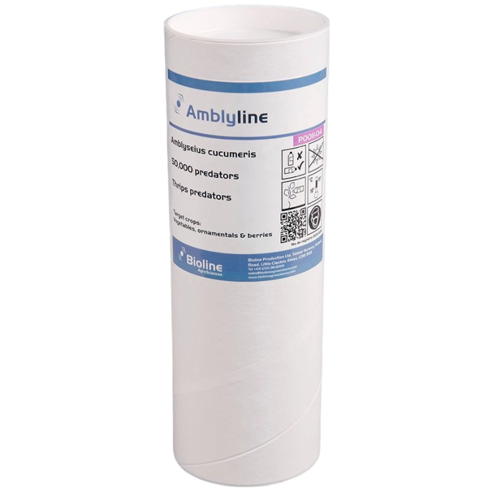 Amblyline - Bran-vermiculite - Tube - 50,000 Individuals - Amblyseius cucumeris (Thrips)