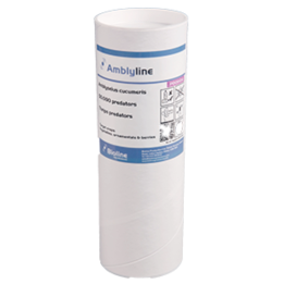 Amblyline - Amblyseius Cucumeris - 500 Sachets - 500,000 Individuals (Thrips)
