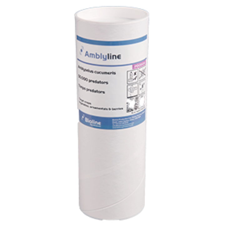 Amblyline - Amblyseius Cucumeris - 500 Sachets - 500,000 Individuals (Thrips)