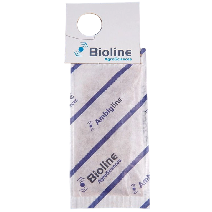 TraducciónAmblyline - Amblyseius Cucumeris - 300 Gemini Sachets - 300,000 Individuals (Thrips)Enviar comentarios