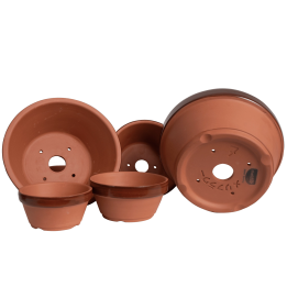 Meliflor Tiesto Prebonsai Terracota