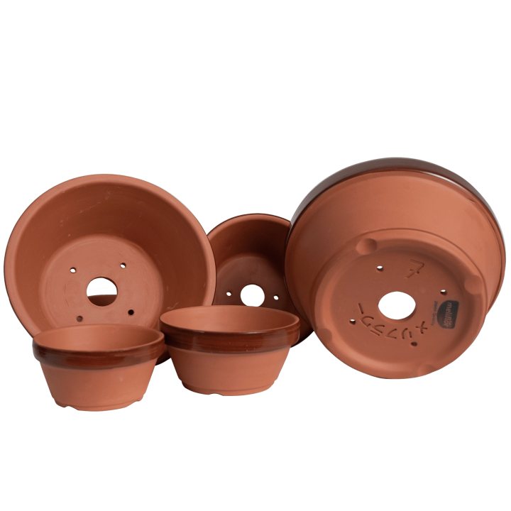 Honeysuckle Terracotta Prebonsai Pot